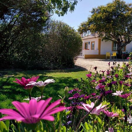 Casas Das Amoreiras อัลเดยา ดู แมโก ภายนอก รูปภาพ