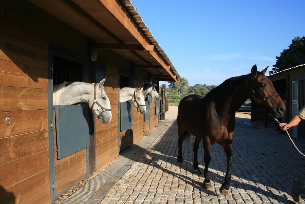 Casas Das Amoreiras อัลเดยา ดู แมโก ภายนอก รูปภาพ